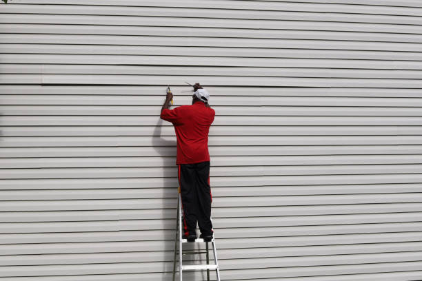 Best Aluminum Siding Installation  in Clifton Forge, VA