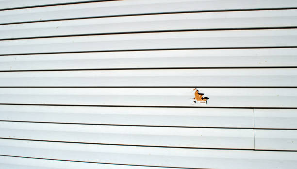 Best Stucco Siding  in Clifton Forge, VA